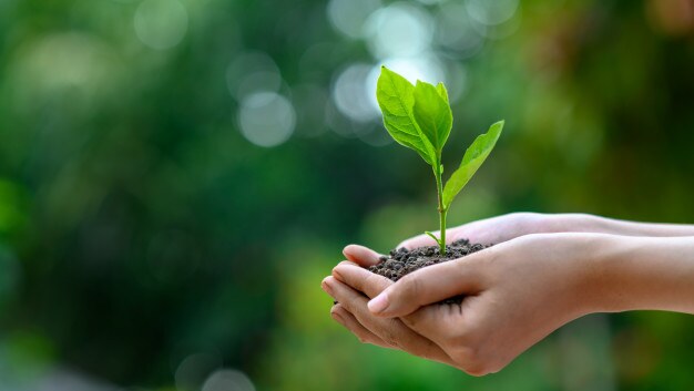 Politika systému kvality a ŽP